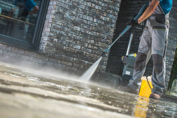 Best Animal Enclosure Cleaning  in Sammamish, WA