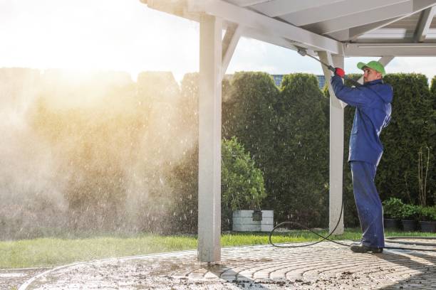 Best Roof Washing  in Sammamish, WA